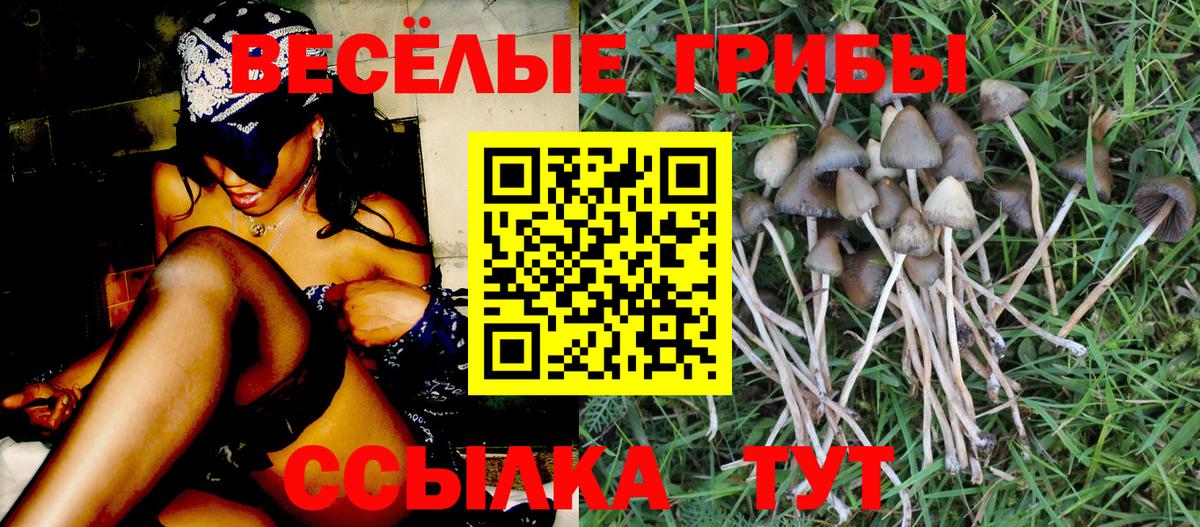 Галлюциногенные грибы GOLDEN TEACHER Алатырь