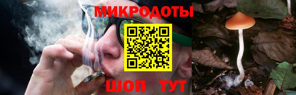 Псилоцибиновые грибы Cubensis  Вход с VPN  Псилоцибиновые грибы мицелий  Алатырь 
